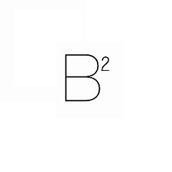 B2