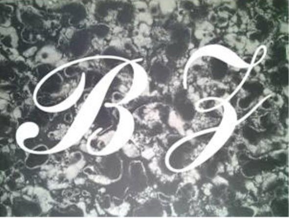 Trademark Logo BZ