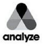 Trademark Logo ANALYZE