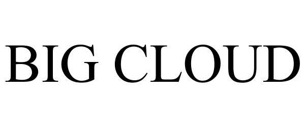 Trademark Logo BIG CLOUD