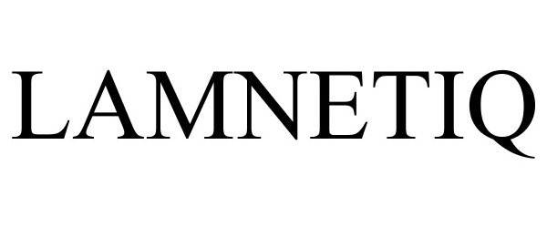 Trademark Logo LAMNETIQ