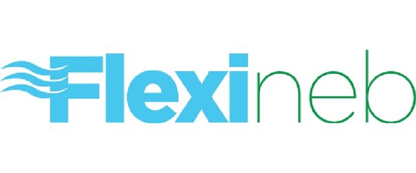  FLEXINEB