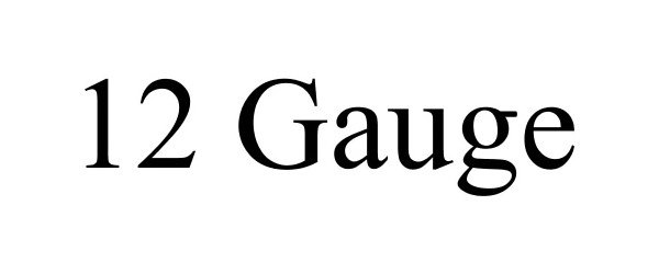 Trademark Logo 12 GAUGE