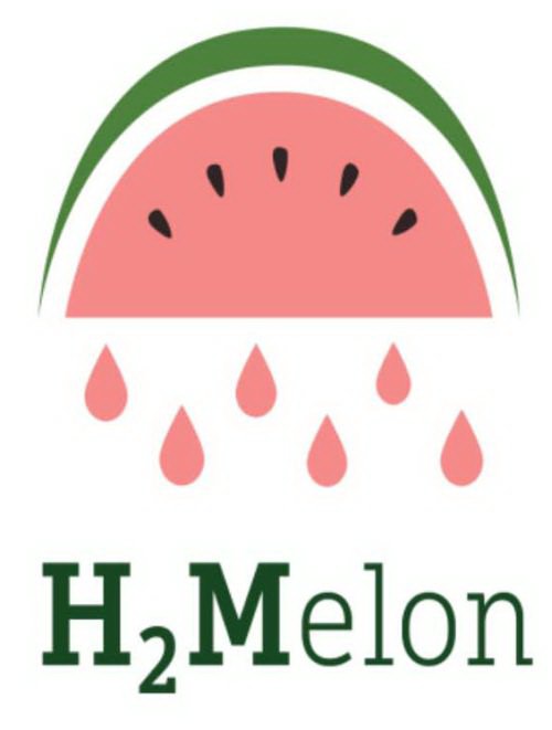 Trademark Logo H2MELON