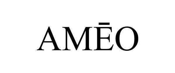 Trademark Logo AMEO