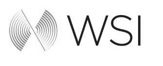Trademark Logo WSI