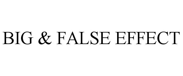 Trademark Logo BIG &amp; FALSE EFFECT