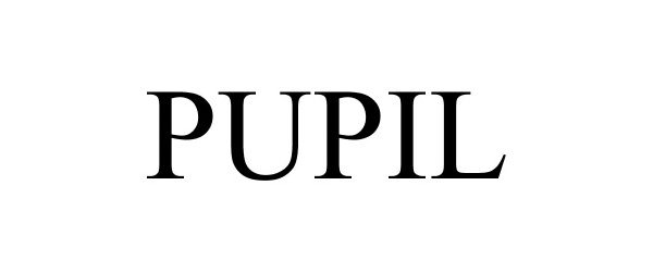 Trademark Logo PUPIL