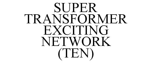  SUPER TRANSFORMER EXCITING NETWORK (TEN)