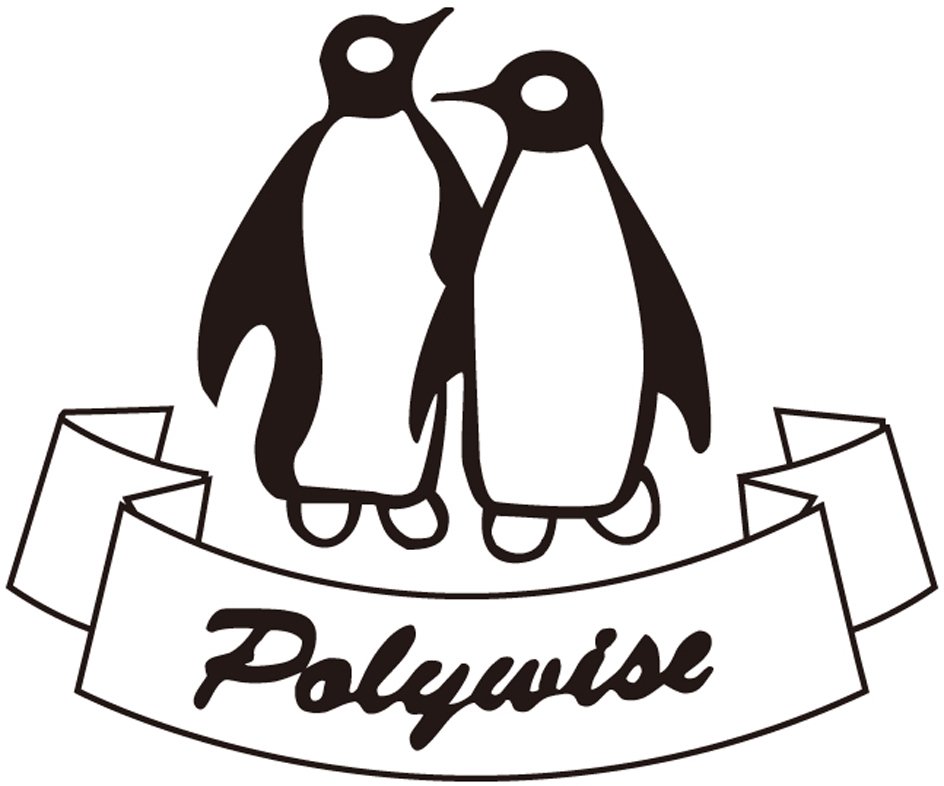 POLYWISE