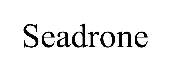  SEADRONE