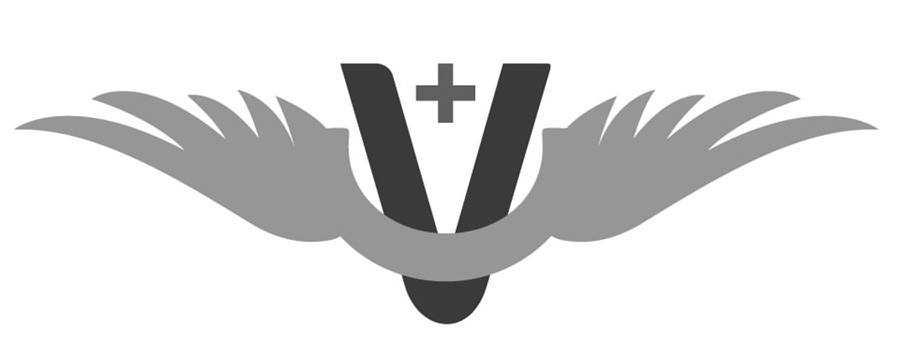 Trademark Logo V+