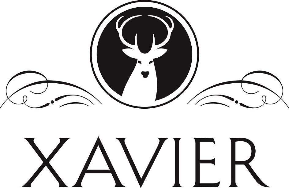 Trademark Logo XAVIER