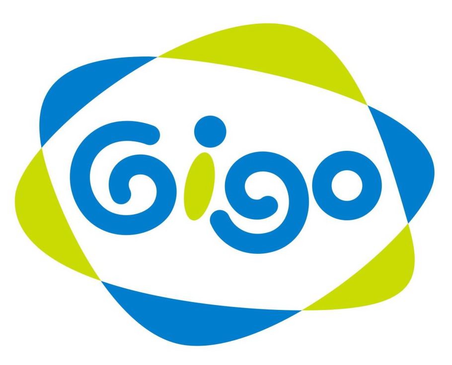  GIGO