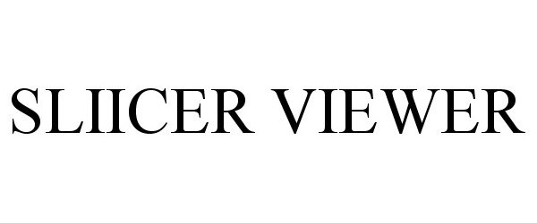  SLIICER VIEWER