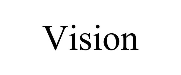  VISION