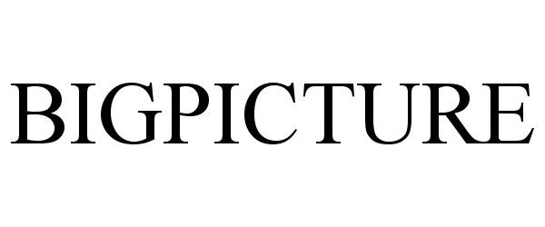 Trademark Logo BIGPICTURE