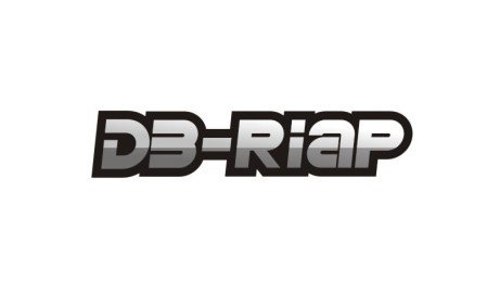  DB-RIAP