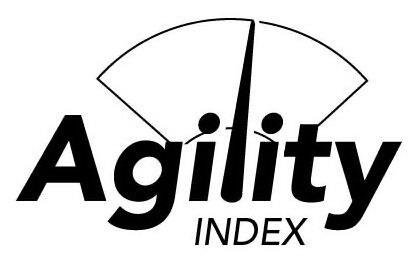 AGILITY INDEX