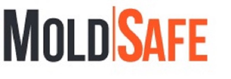 Trademark Logo MOLDSAFE