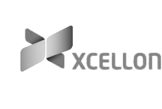  XCELLON