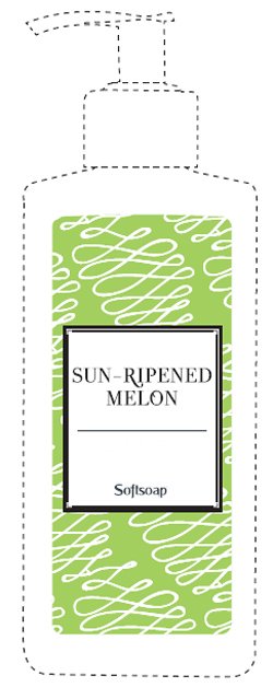  SUN-RIPENED MELON SOFTSOAP