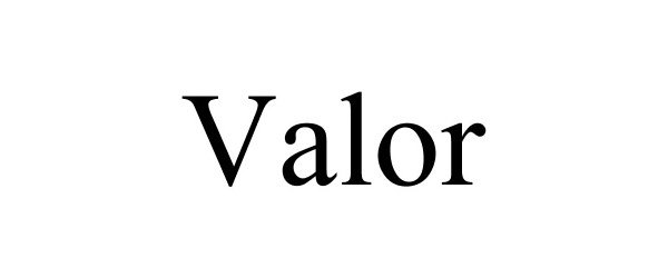  VALOR