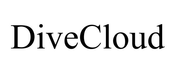  DIVECLOUD