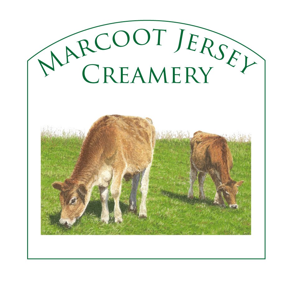 Trademark Logo MARCOOT JERSEY CREAMERY