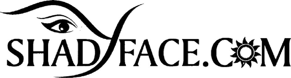 Trademark Logo SHADYFACE.COM
