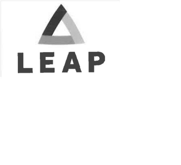 Trademark Logo LEAP