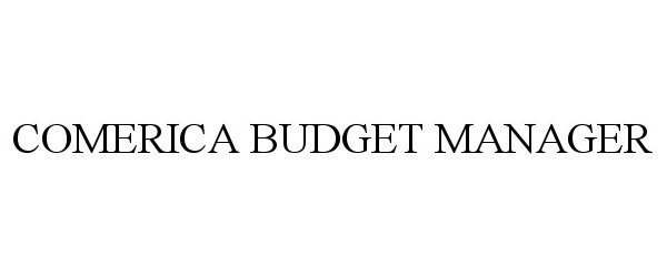  COMERICA BUDGET MANAGER