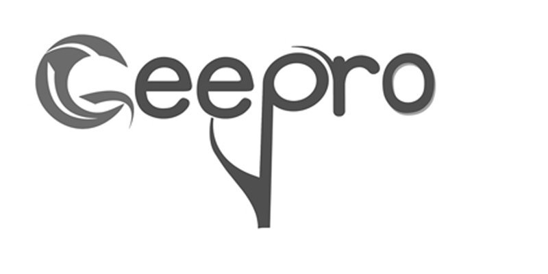  GEEPRO