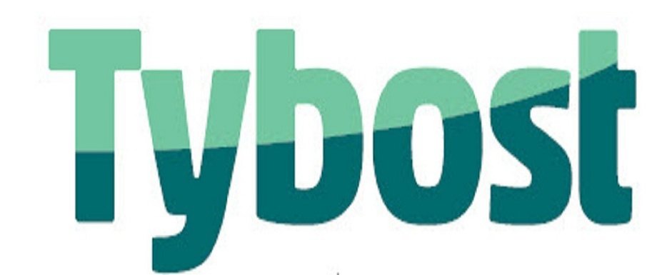 Trademark Logo TYBOST