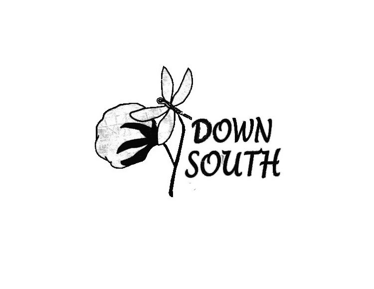 DOWN SOUTH