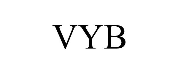 Trademark Logo VYB