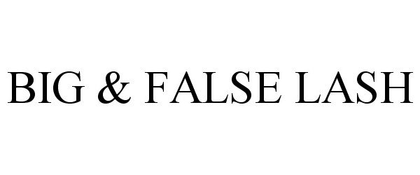 Trademark Logo BIG &amp; FALSE LASH