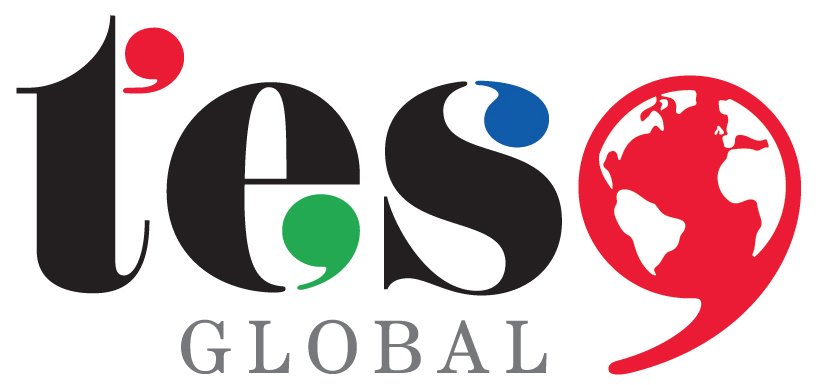  TES GLOBAL