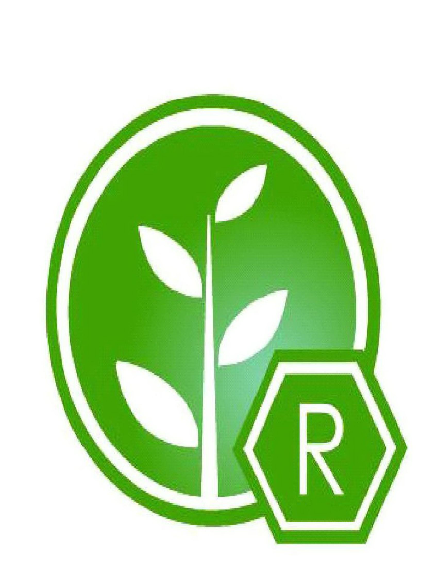 Trademark Logo R