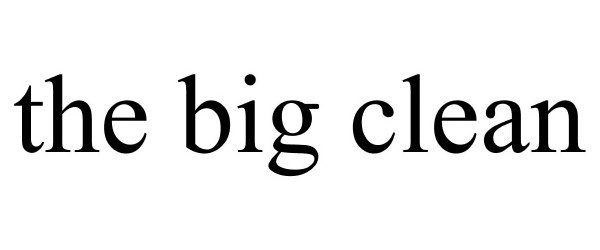 Trademark Logo THE BIG CLEAN