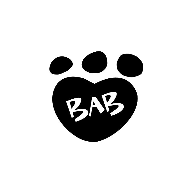  BAB