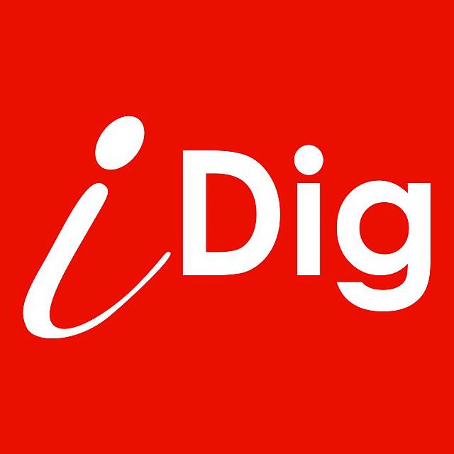 Trademark Logo IDIG