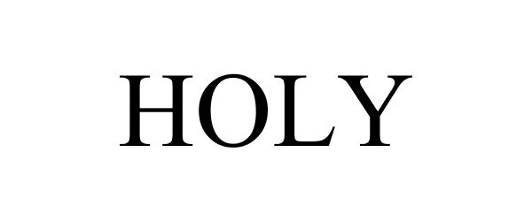 Trademark Logo HOLY