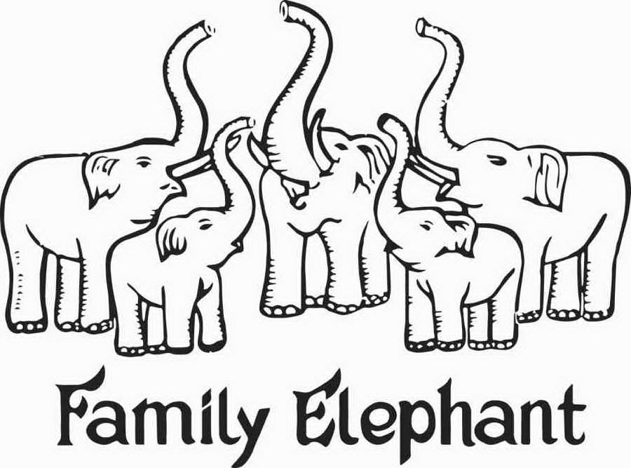  FAMILY ELEPHANT