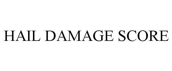Trademark Logo HAIL DAMAGE SCORE