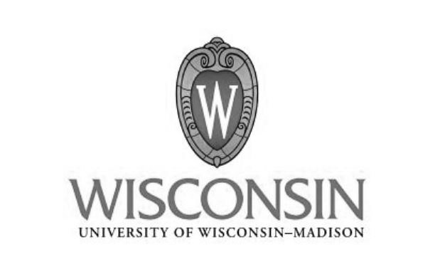 Trademark Logo W WISCONSIN UNIVERSITY OF WISCONSIN-MADISON