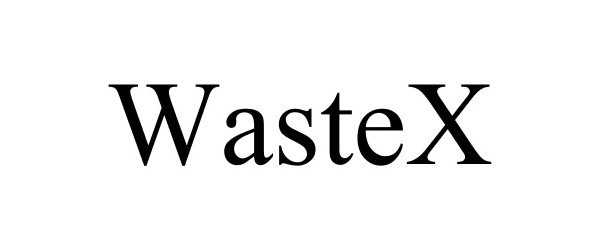 Trademark Logo WASTEX
