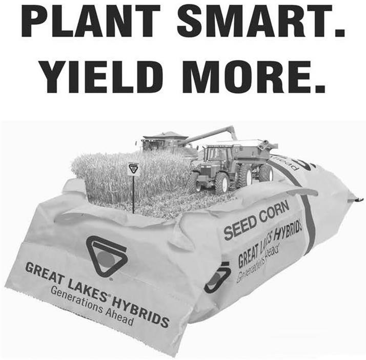  PLANT SMART. YIELD MORE. GREAT LAKES HYBRIDS GENERATIONS AHEAD SEED CORN