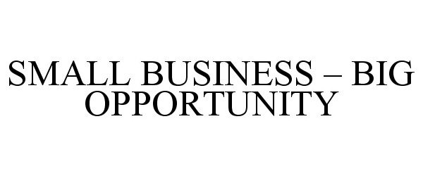  SMALL BUSINESS - BIG OPPORTUNITY