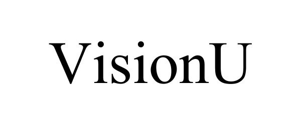  VISIONU